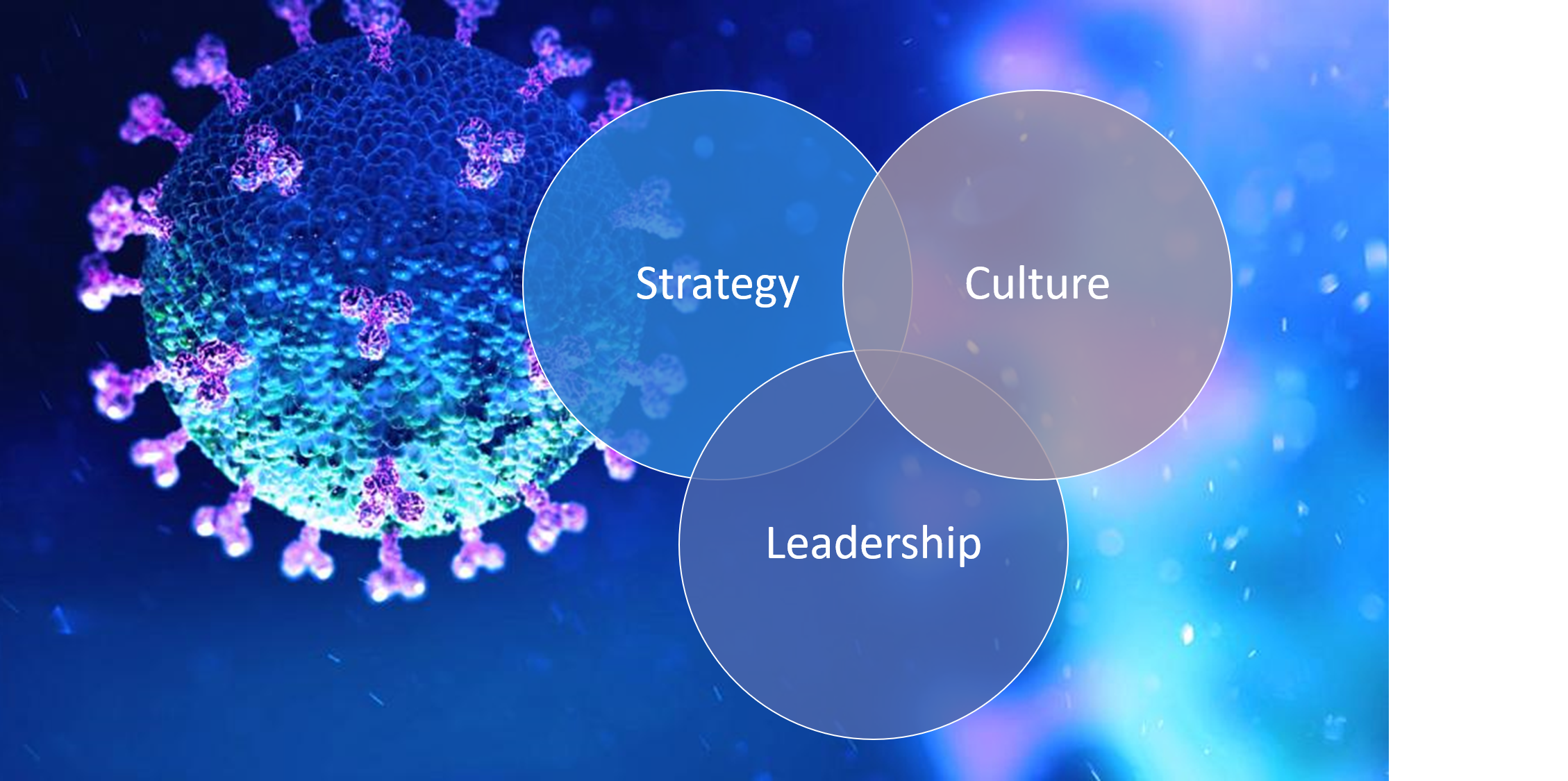 Culture – Strategy – Leadership